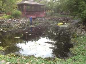 Pond Cleaning, Pond Maintenance