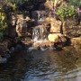 Waterfall-Gallery-Gem-Ponds-6