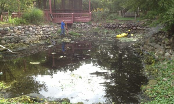 Pond Cleaning, Pond Maintenance