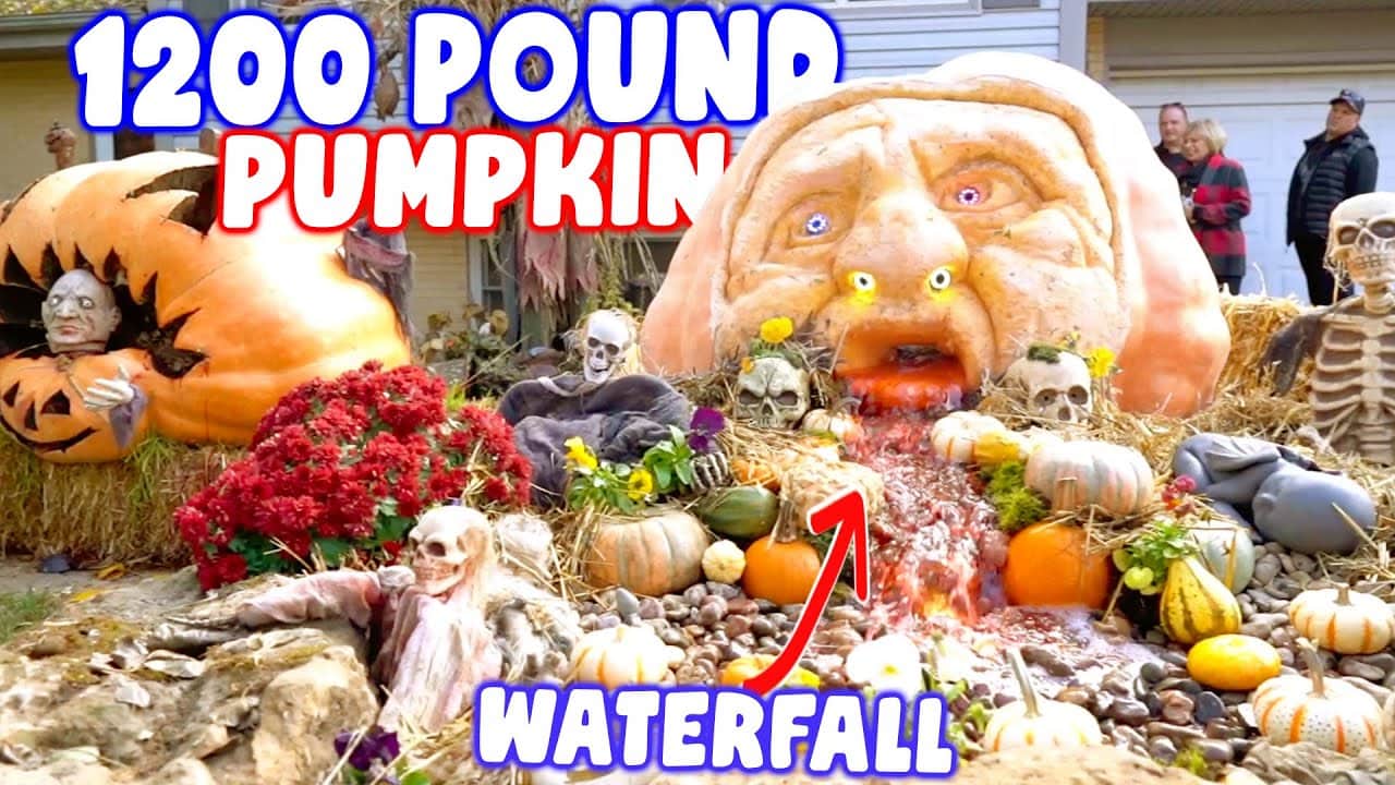 Pond and Pumpkin Guy with Eclectic Gardens