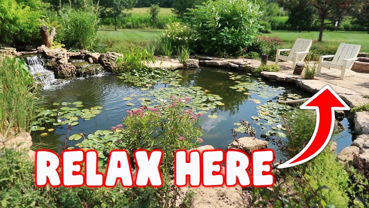 YOU Don't Want to Miss These Impressive KOI PONDS