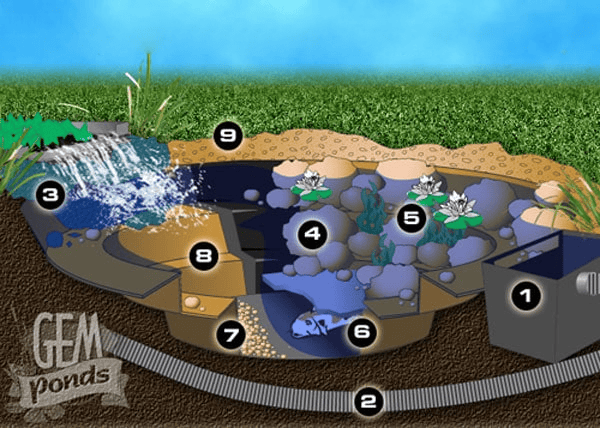 How a pond works